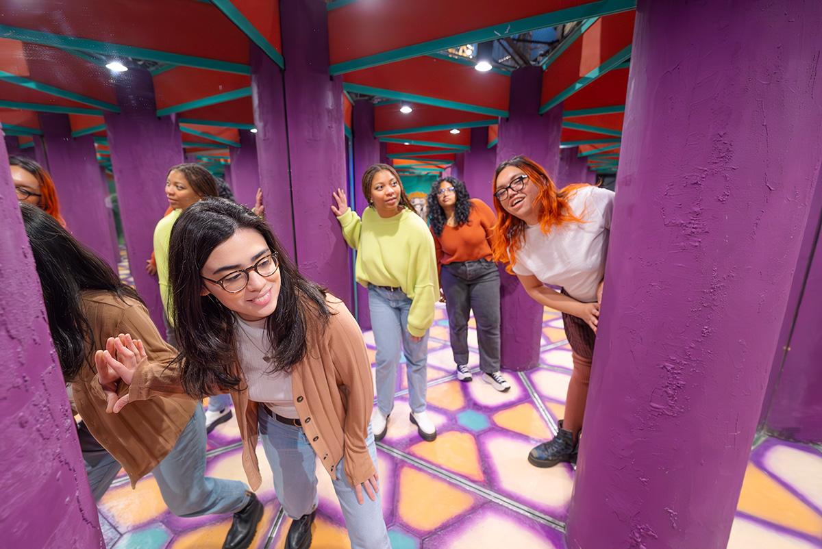 interactive_mirrormaze.jpg