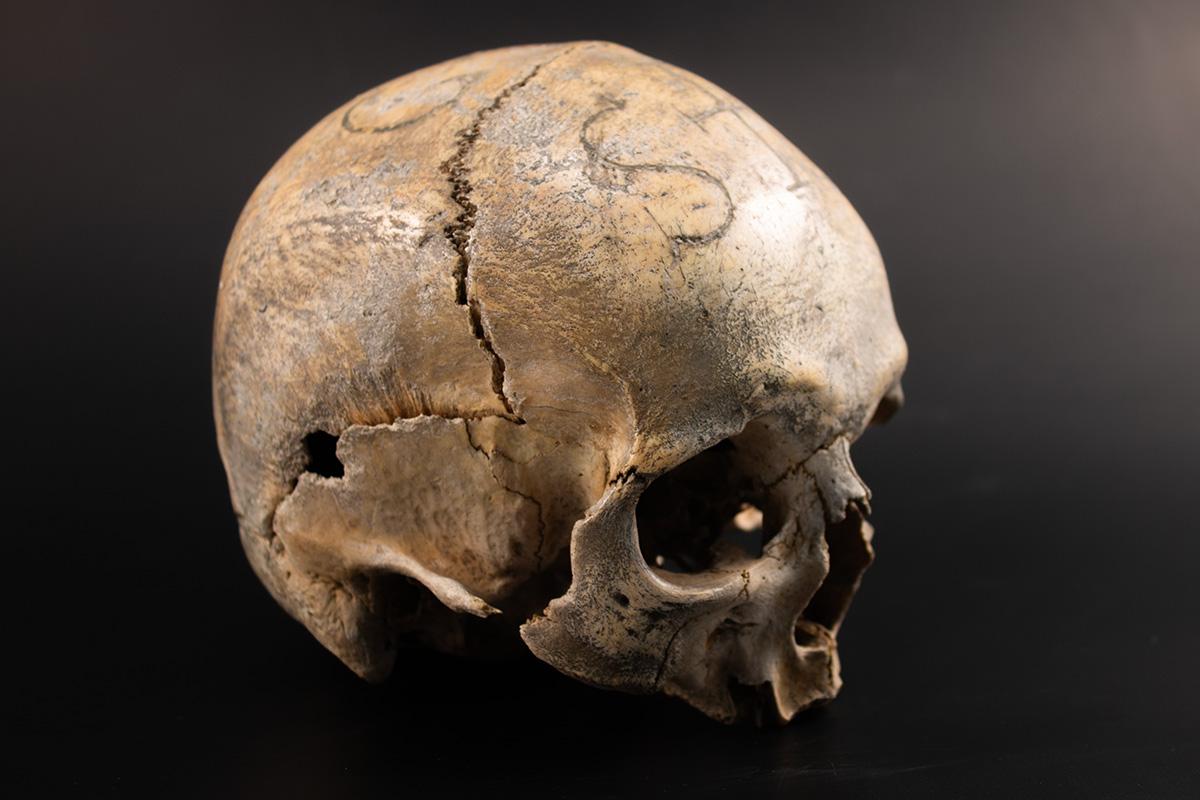 creepy_skulls.jpg